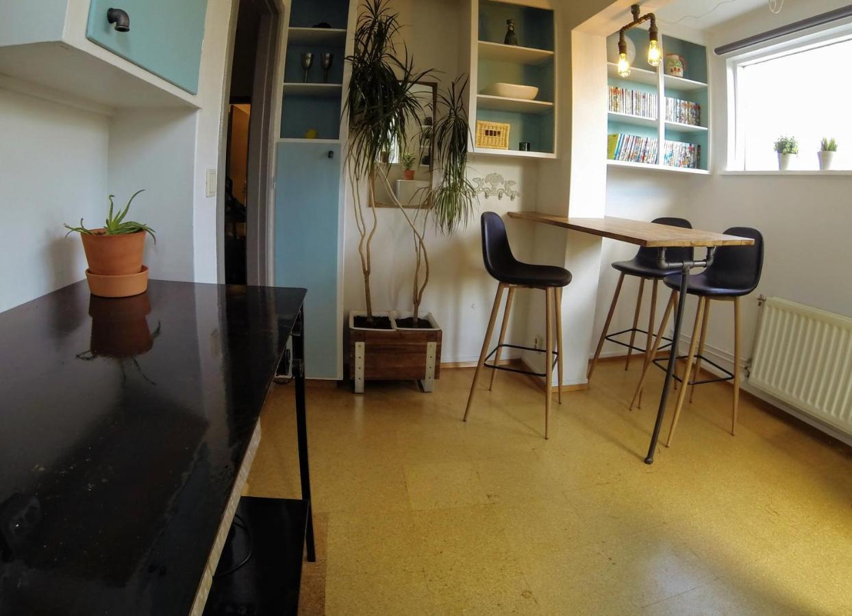 Skjolbraut - Cozy Apartment - Central Location - Free Parking - Close To A Public Swimming Pool And Sky Lagoon Reykjavík Esterno foto